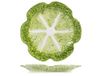 H&H Piatto Verza Stoneware Plate 25cm H 3cm
