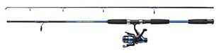 Shakespeare Firebird Spinning Combo