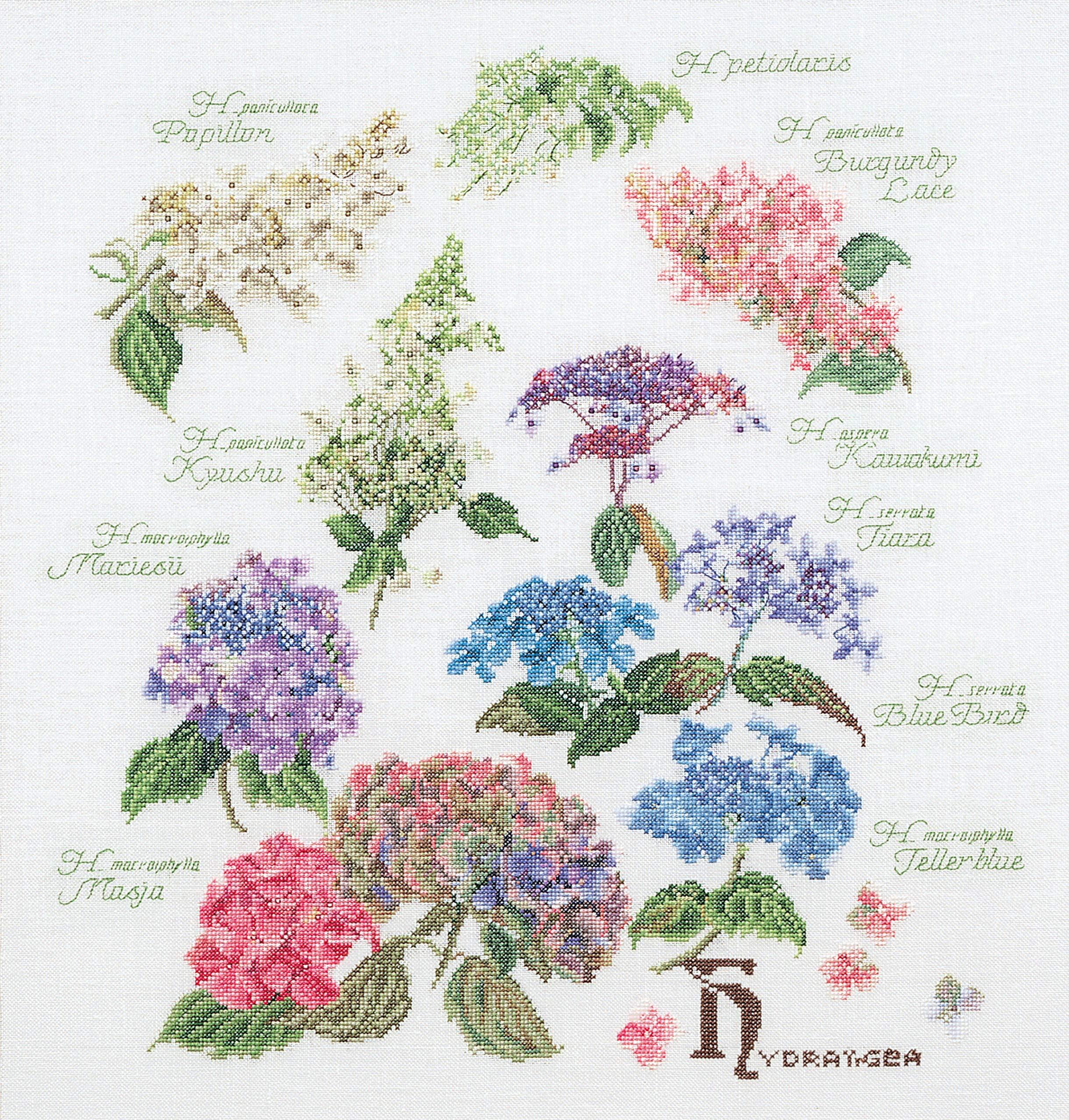 Thea Gouverneur Borduurpakket Hydrangea - Hortansia 3067