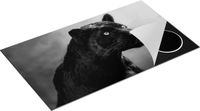 Chefcare Inductie Beschermer Zwarte Panter - Zwart Wit - 90x55 cm