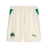 PUMA Greuther Fürth 26/27 short pour Hommes, Vert/Rouge/Brun, Taille L