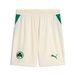 PUMA Greuther Fürth 26/27 short pour Hommes, Vert/Rouge/Brun, Taille S
