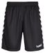 Hummel Core Training Shorts