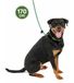 Comfort Company of Animals Laisse 3-en-1 pour chiens qui tirent fort - Laisse courte, laisse de type retriever, 170 cm, verte