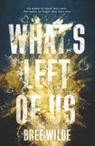 What's Left of Us: A Spicy Second-Chance Romance: A Second Chance College Romance