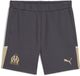 Puma Olympique de Marseille Casuals Shorts 2023/24 Heren Maat S