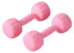 Haltère set pour fitness à domicile avec poids de 2 kg
