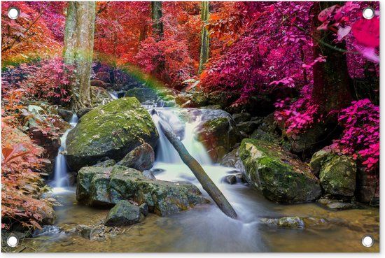 GreatGardenPosters Tuinposter - Regenboog Waterval - 60x40 cm - Roze - Bos - Outdoor