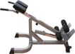 Taurus B800 Rugtrainer