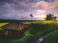 Ravensburger Puzzle Nature Edition Reisfelder/Bali - 500 T