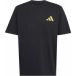 Adidas Juventus Turin T-shirt Seasonal Graphic