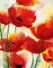 Heidi Reil Impression d'art Coquelicot rouge 70x90cm