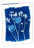 Clairefontaine 83507C - Correspondentieset met 8 Assorti Kaarten 11x15,5 cm met Floraal/Cyanotype Illustratie en 8 Enveloppen Pollen C6 Naturel Wit - Cyanotype Collectie - 12x16,5 cm