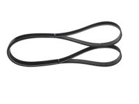 BOSCH Keilrippenriemen 1987945719