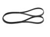 BOSCH Keilrippenriemen 1987945719