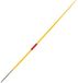 Sporti France Training 300g Speer Or