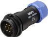 Weipu SP2111 / P 7 II Ronde connector Stekker, recht Totaal aantal polen: 7 Serie (ronde connectoren): SP21 1 stuk(s)