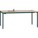 Manuflex LD1116.7016 ESD ESD-werktafel UNIDESK met kunststof plaat, onderstel antraciet RAL 7016, bxdxh = 2000 x 800 x 723-733 mm Antraciet