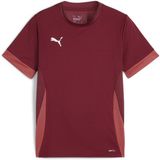 Puma TeamGoal shirt de match pour enfants jr 705748