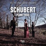 Proper S&D Consignment Schubert: Piano Trios
