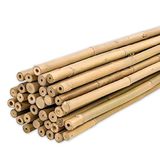 PLANTAWA Bamboe Klikhulpen, 150 cm, 25 stuks