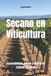 Secano Libri GmbH Secano en Viticultura: Sostenibilidad, Terroir y el Arte de Cultivar Sin Riego