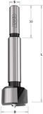 CMT 537.100.31 Forstner Bit, 10mm (25/64-inch) diameter, 8mm schacht