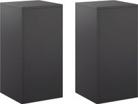 vidaXL Plantenstandaard - 2 stuks - Zwart - 30 x 30 x 60 cm - Staal