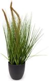Oosterik Home Pennisetum siergras in pot H 50 cm kunstplant