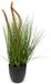Oosterik Home Pennisetum siergras in pot H 50 cm kunstplant