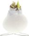 Bloomique Amaryllis Bol in Witte Wax - Kolibri Wit - Bloembol