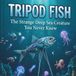 Tripod Fish The Strange Deep Sea Creature You Never Knew: Explore the Deep Ocean and Learn About One of the Strangest Fish in the World