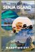 Discover Senja Island 2026: An Arctic Handbook for Scenic Routes, Fjords, Northern Lights, and Local Experiences