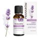 Pranarôm 5420008525445 essence aromatique 30 ml Cardamome, CÈDRE, Cyprès, Eucalyptus, Lavande, Orange, Menthe poivrée, Romarin Diffuseur de parfum