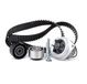 INA 530 0119 30 waterpomp + tandriemenset