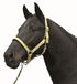 HKM Stars Economy Softice Holster Melkachtig Geel Pony