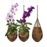 PANWA Handgemaakte 100% Thaise bamboe geweven 10,5 cm hangende orchideeënmand - Set van 3 multifunctionele vogelneststijl plantenhangers voor tuinhuisje - bloemenplanter voor binnen en buiten
