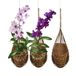 PANWA Handgemaakte 100% Thaise bamboe geweven 10,5 cm hangende orchideeënmand - Set van 3 multifunctionele vogelneststijl plantenhangers voor tuinhuisje - bloemenplanter voor binnen en buiten