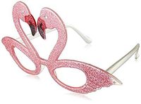 Beistle Glittered Flamingo Fanci-Frames
