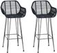 vidaXL Barkruk, 2 stuks, Zwart, Riet en IJzer, 55 x 52 x 105 cm