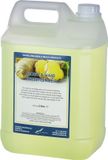 Claudius Cosmetics B.V. Body & Hair Fresh Ginger - 5 Liter - 2-in-1 voor lichaam en haar