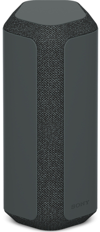Sony SRS-XE300 zwart