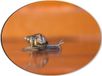 Merkloos / Sans marque Dibond Ovaal - Kruipende Kleine Slak in Oranje Kleurige Omgeving - 40x30 cm