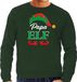 Bellatio Decorations foute Kersttrui - Papa elf - groen - heren - Kerst sweaters / kleding M