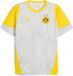 PUMA Trainingsshirt Borussia Dortmund 2025/26 Mannen Grijs S
