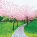 Susan Entwistle Art Cherry Blossom Limited Edition Doek, 50 cm x 50 cm, Papier/Cotton, Meerkleurig, 60 x 60 x 0.25 cm