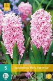 jub X 5 Hyacint Pink Surprise