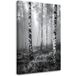 Tableau Forêt de bouleaux vue noir et blanc 30x45