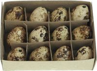Merkloos 2 x 12 stuks paaseieren naturel / bruin D 2 H 3 cm