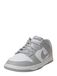 Nike Dunk Low White Light Smoke Grey